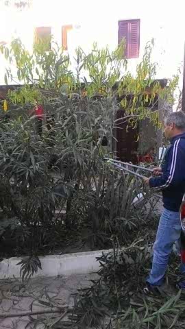 Turgutreis Bahçe Budama