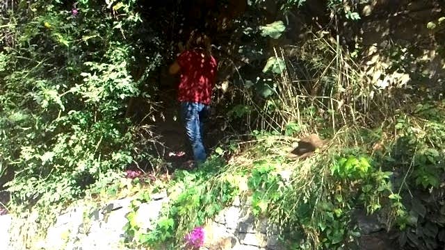 Orman olmuş bir alandan özel bir bahçeye dönüşüm
